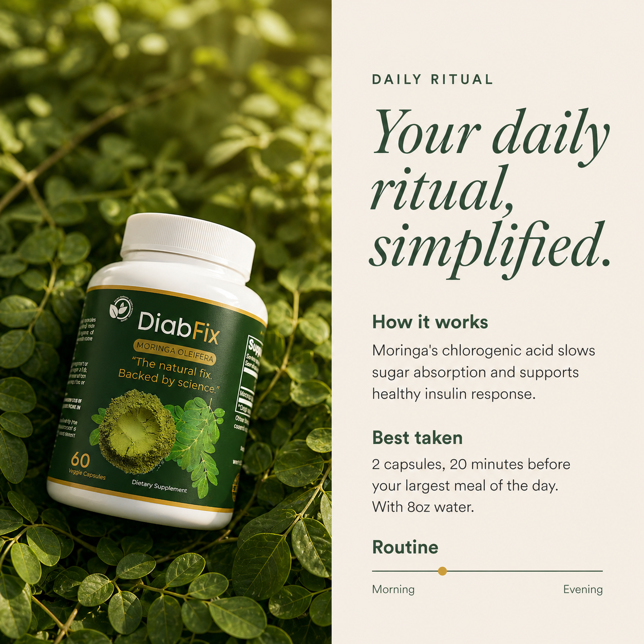 DiabFix Moringa Oleifera daily ritual instructions: take 2 capsules 20 minutes before your largest meal with 8oz of water.